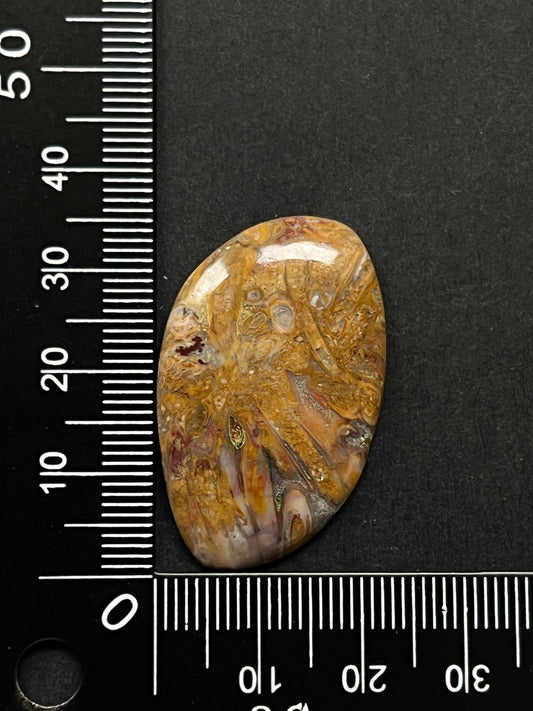 Agate Plume n°1 (3,6cm x 2,4cm)