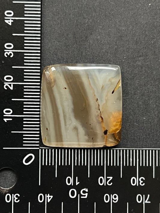 Agate Montana n°2 (2,6cm x 2,5cm)