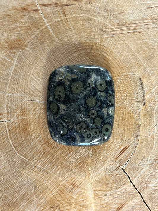 Jaspe Kambaba n°2 (2,9 cm x  2,4 cm)
