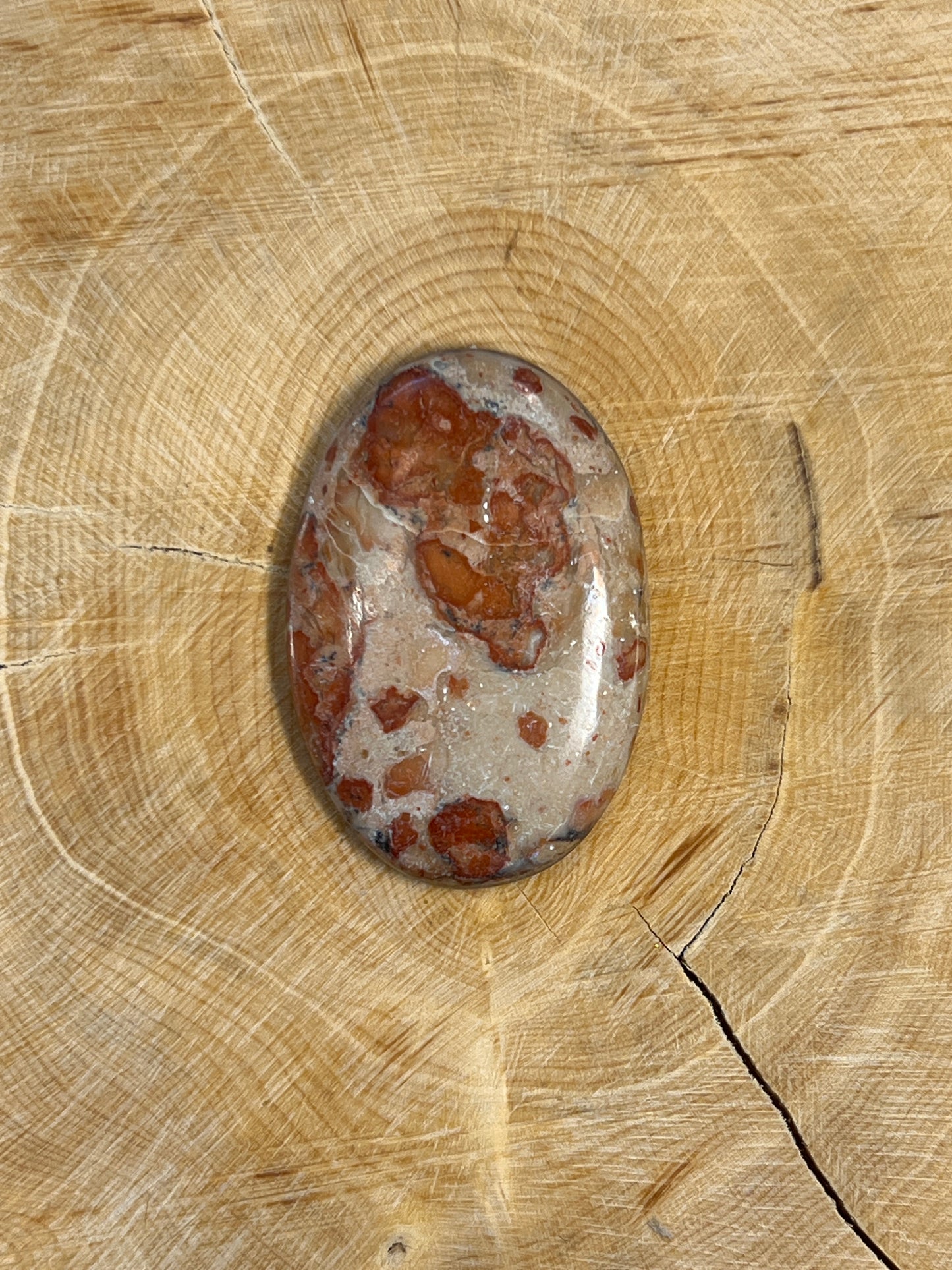 Jaspe Léopard n°3 (3,3 cm x 2,2 cm)