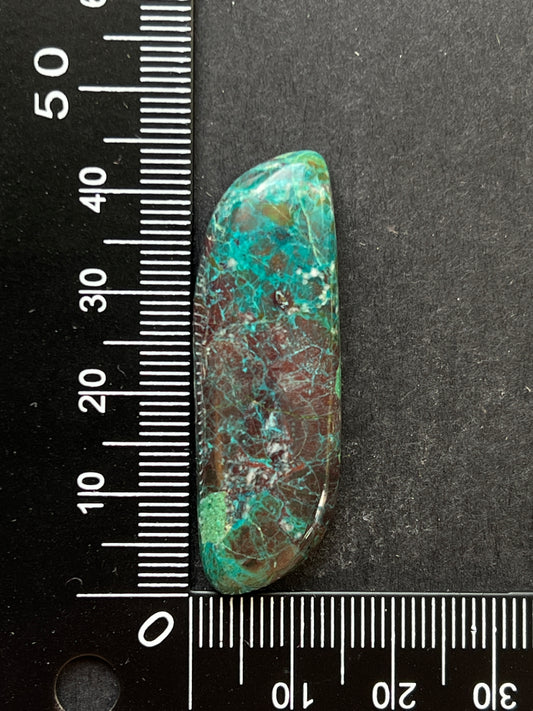 Chrysocolle n°3 (4,5cm x 1,5cm)