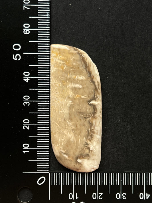 Jaspe Bois De Palmier n°5 (5,4cm x 2,2cm)