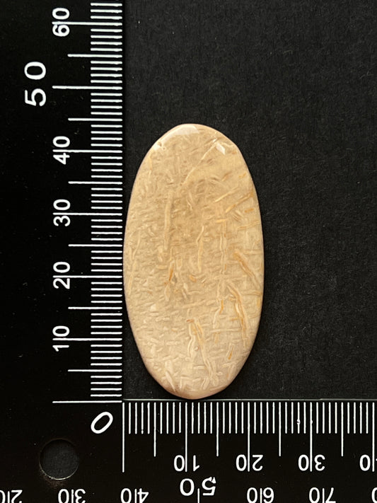 Jaspe Bois De Palmier n°4 (4,5cm x 2,2cm)