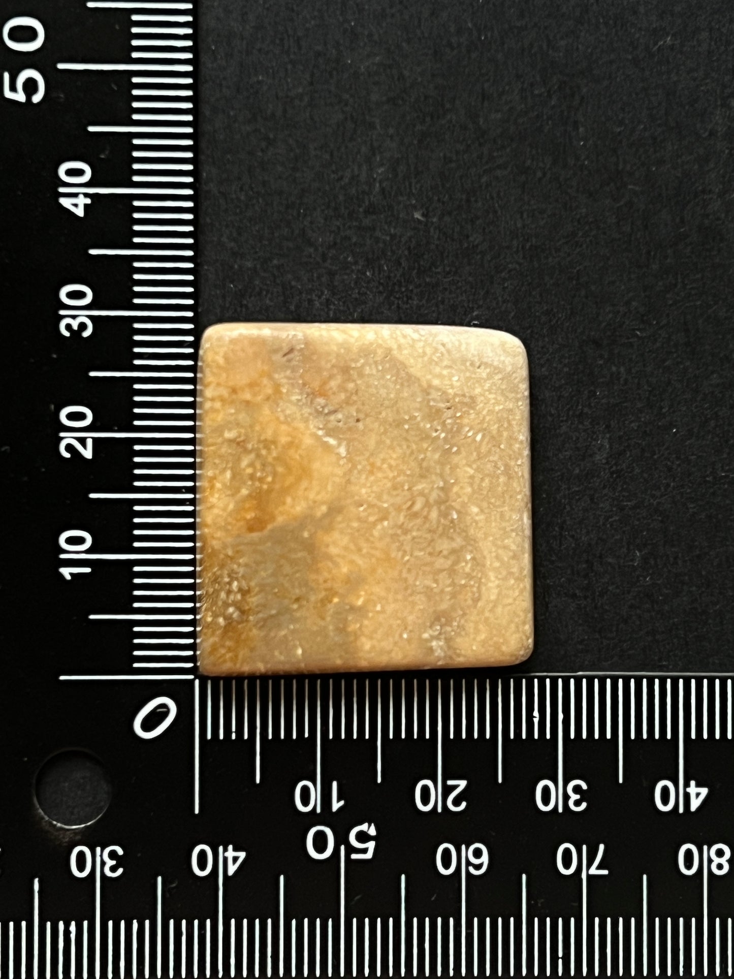 Fossile Corail n°5 (3cm x 2,8cm)