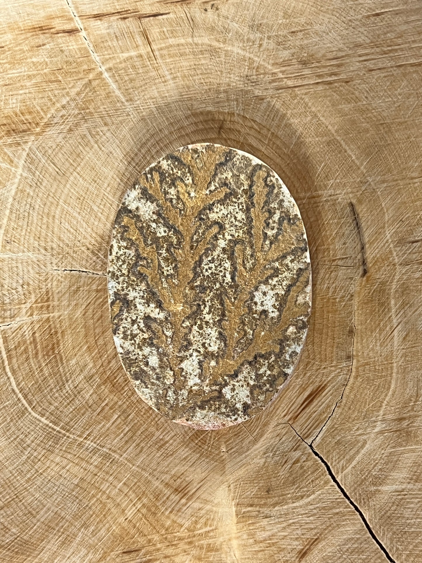 Psilomélane Dendritique n°2 (3,6cm x 2,6cm)