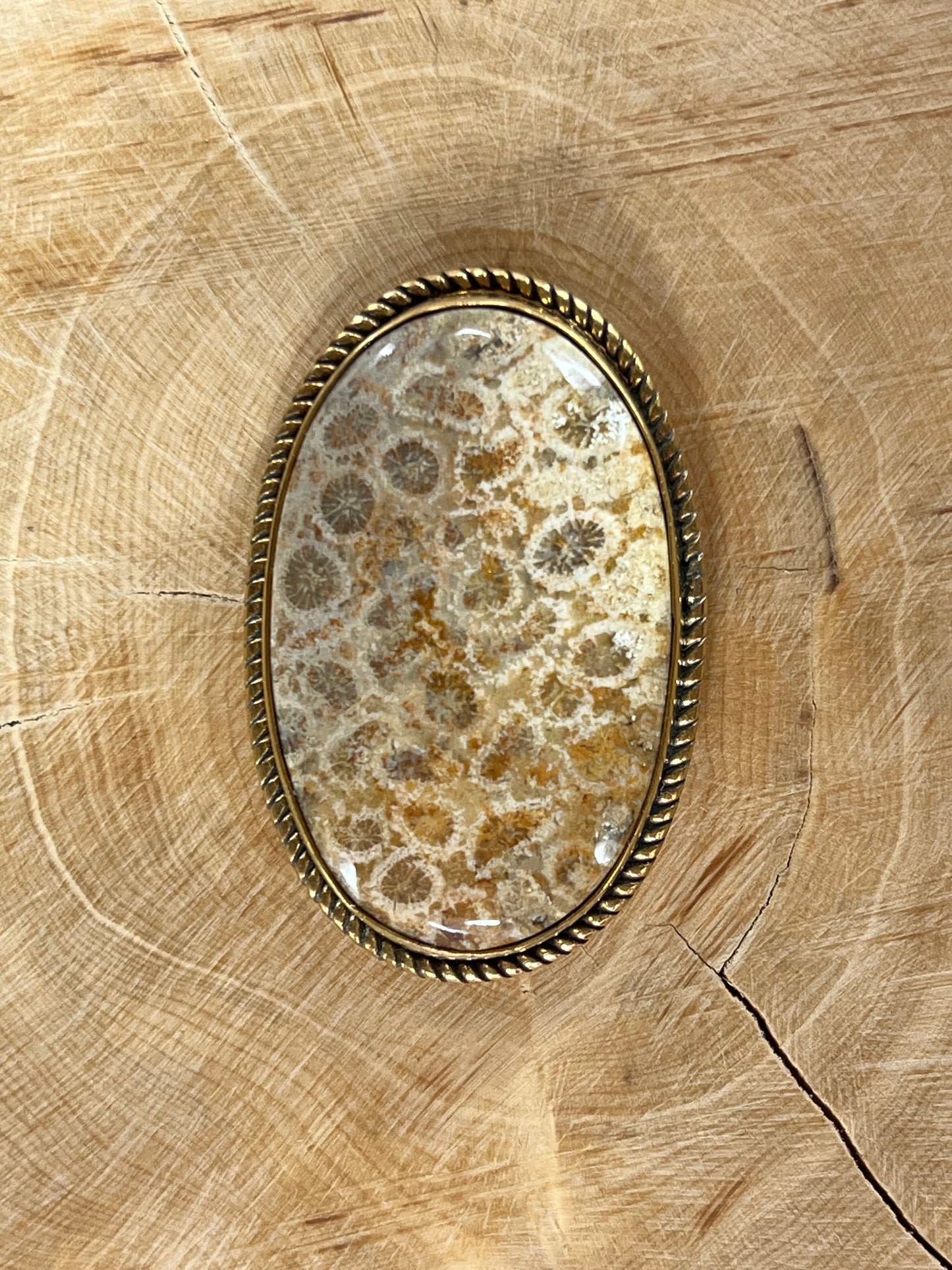 Fossile Corail sertie doré n°D5 (4,2cm x 2,7cm)
