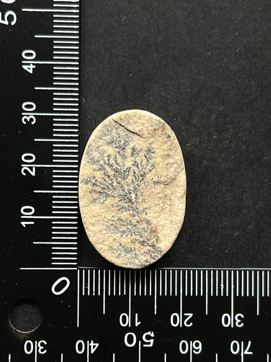 Psilomélane Dendritique n°1 (3,1cm x 2,2cm)