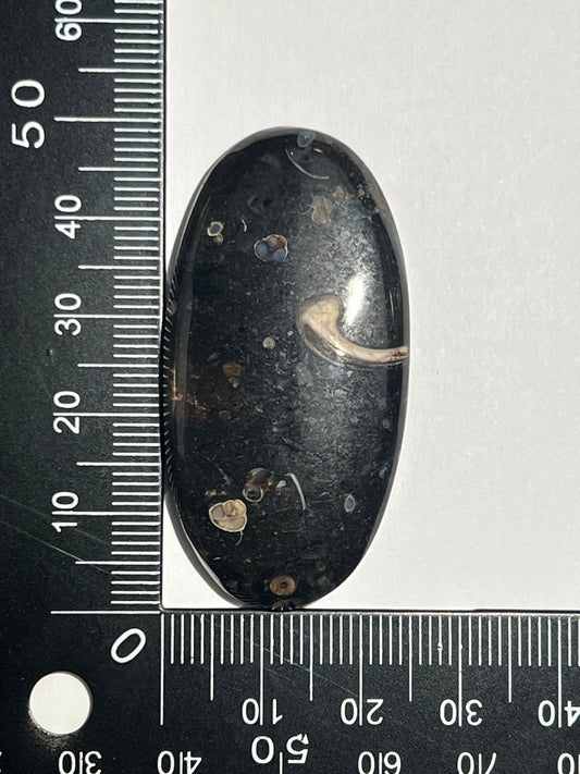 Agate Fossile Turitelle n°3 (4,8cm x 2,4cm) - Solyluna Macramé