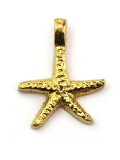 Charm étoile de mer indien laiton 20 mm
