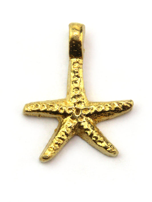 Charm étoile de mer indien laiton 20 mm
