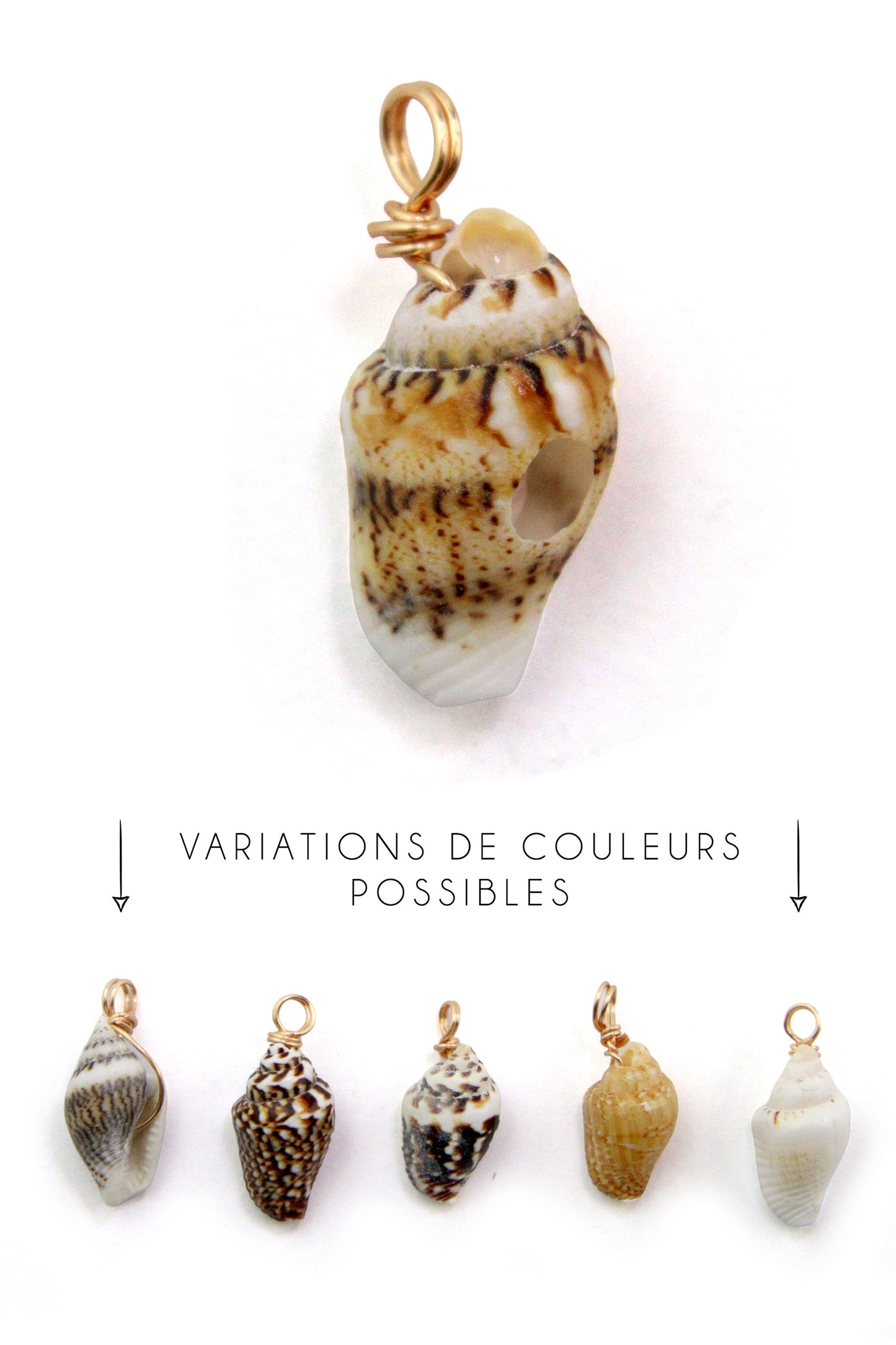 Charm coquillage naturel anneau or 15 mm