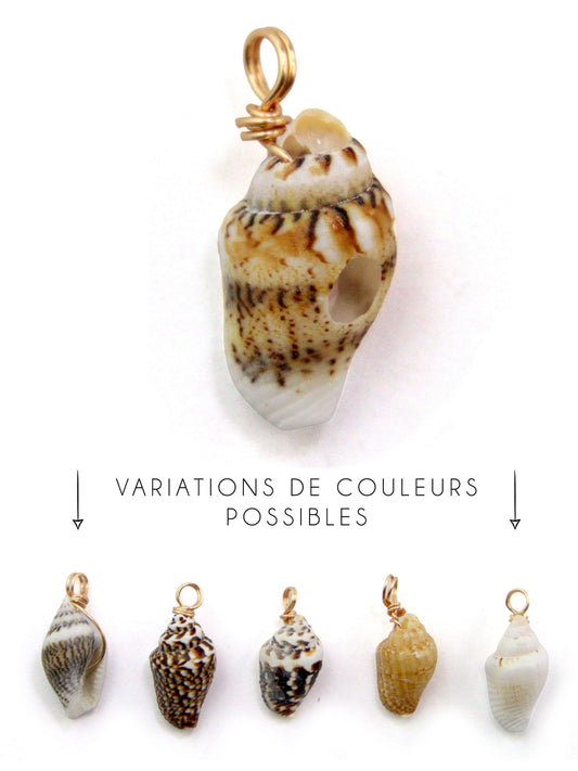 Charm coquillage naturel anneau or 15 mm