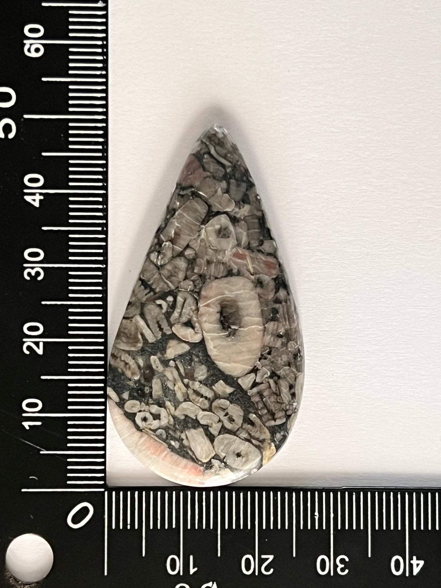 Crinoïde Fossile n°1 (4,8cm x 2,5cm) - Solyluna Macramé