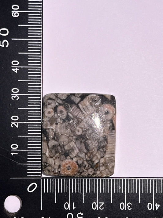 Crinoïde Fossile n°4 (4,6cm x 2,5cm) - Solyluna Macramé