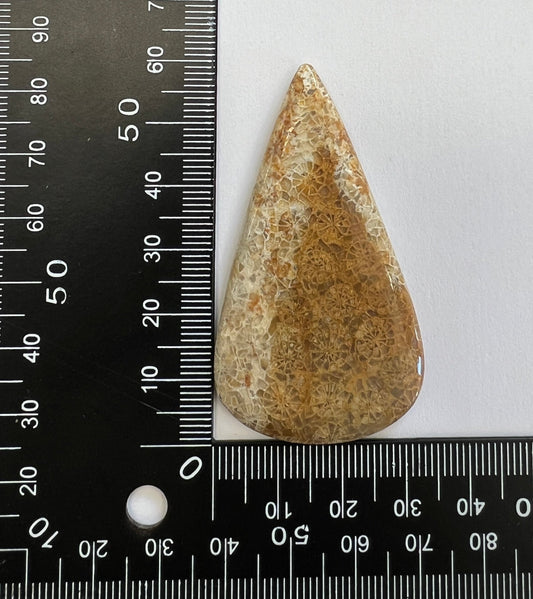 Fossile Corail n°1 (6cm x 3,3cm) - Solyluna Macramé