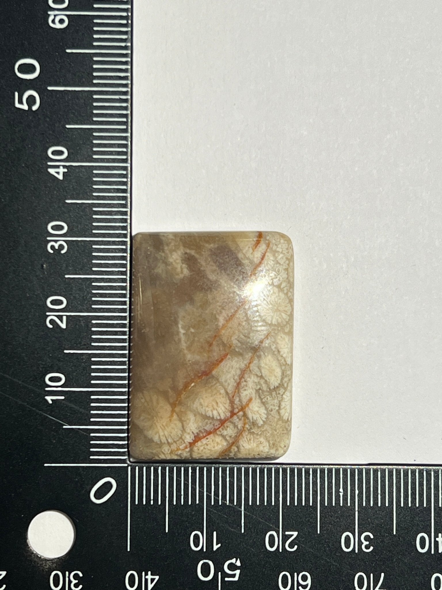 Fossile Corail n°2 (3,1cm x 2,1cm) - Solyluna Macramé