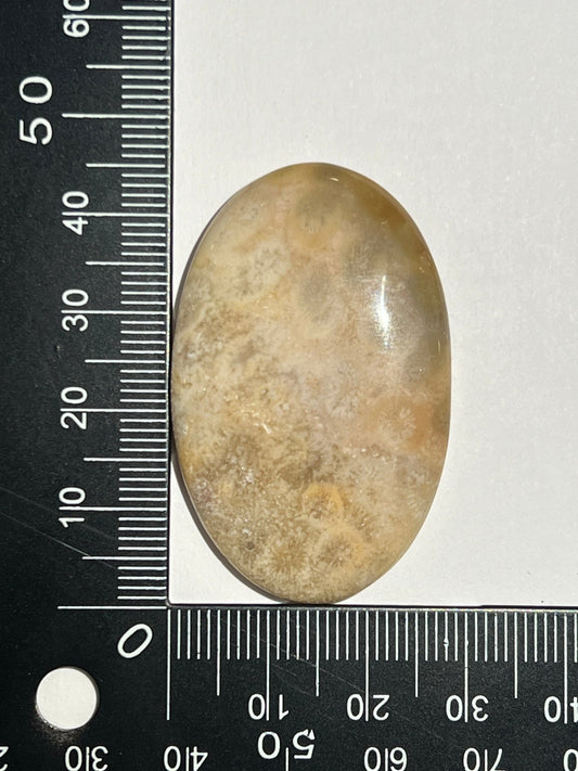 Fossile Corail n°3 (4,4cm x 2,7cm) - Solyluna Macramé