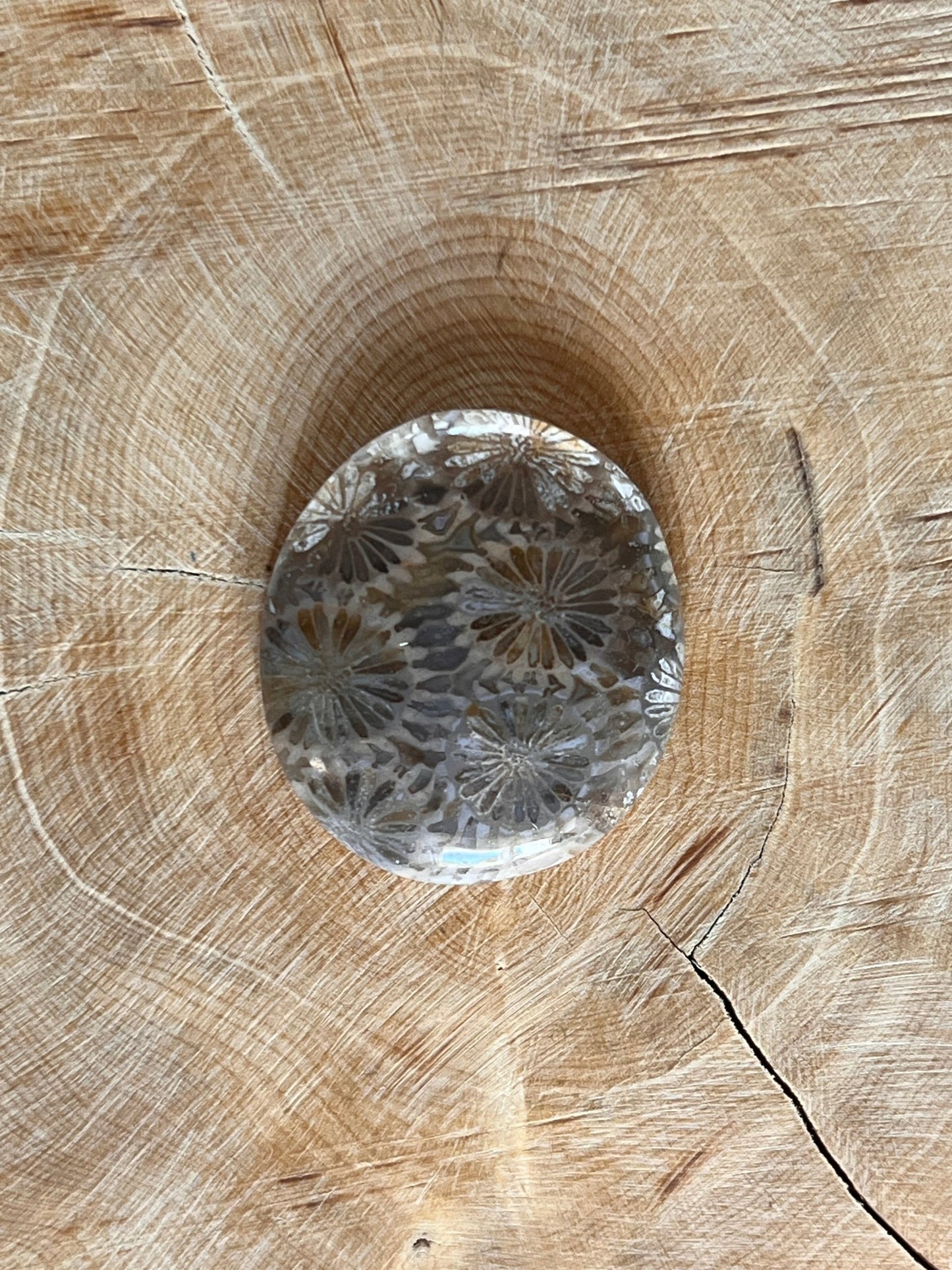 Fossile Corail n°1 (3cm x 2,6cm) - Solyluna Macramé