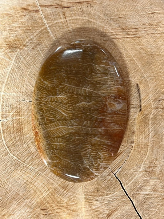 Fossile Corail n°1 (5,1cm x 3,4cm) - Solyluna Macramé