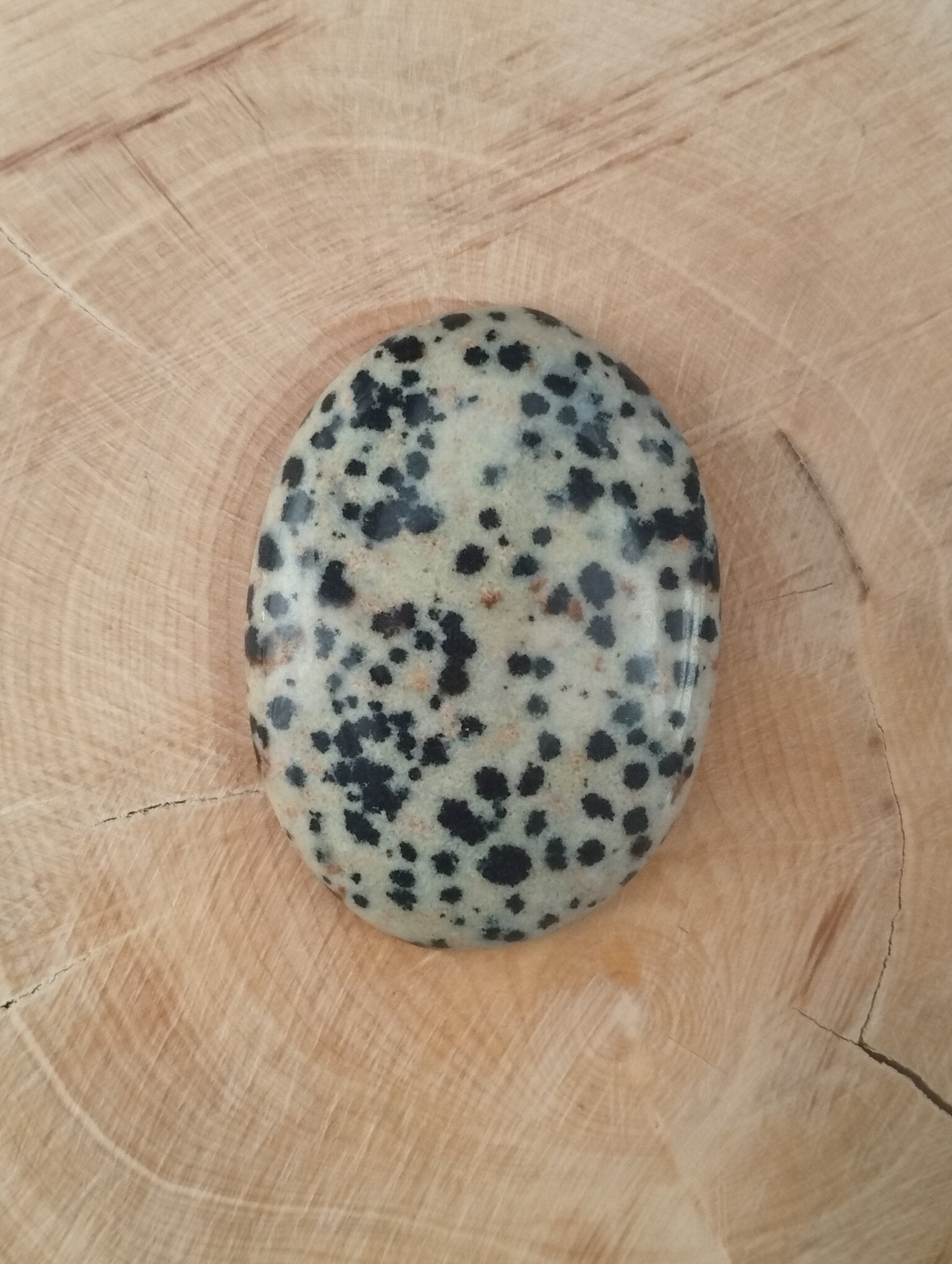 Jaspe Dalmatien n°3 (3,5cm x 2,5cm) - Solyluna Macramé
